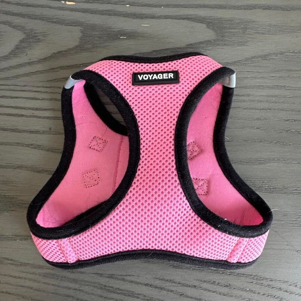 Voyager Women's Pink Accessory
